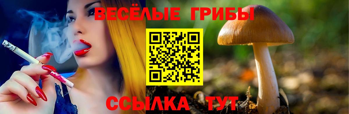 Галлюциногенные грибы мухоморы  Вход с VPN  Свободный  Псилоцибиновые грибы прущие грибы 